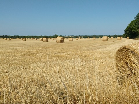 Photo de la campagne autour du gîte de l'Escapade